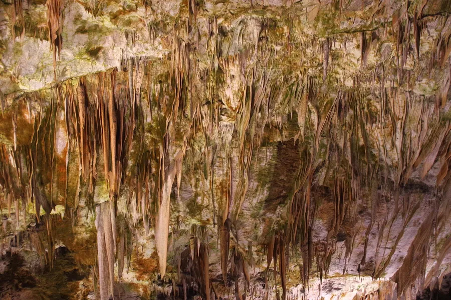 Flowstone and dripstone formations in Postojna Cave